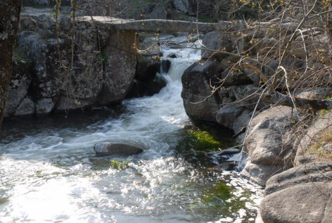 naturaleza y biodiversidad