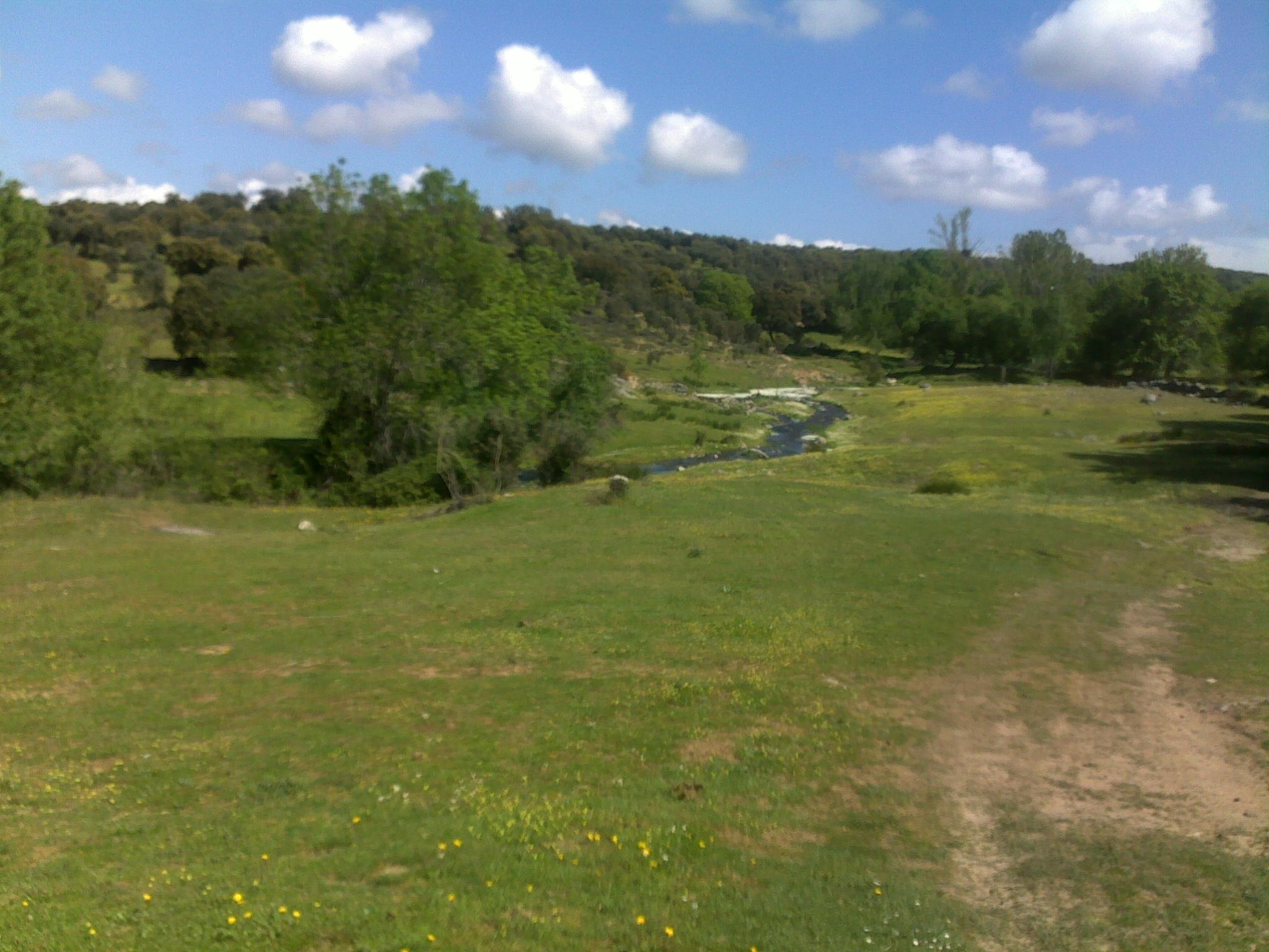 Sotillo de las Palomas